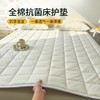 自然醒四季款全棉舒适抗菌两用床褥双面纯棉德芙绒床垫防滑可洗家用软垫床褥被LN 商品缩略图5
