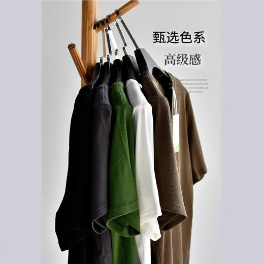 丁摩 【优可丝棉长颈T】黑色v领正肩女夏季半袖短袖t恤女大码上衣5ZF-B227 商品图3