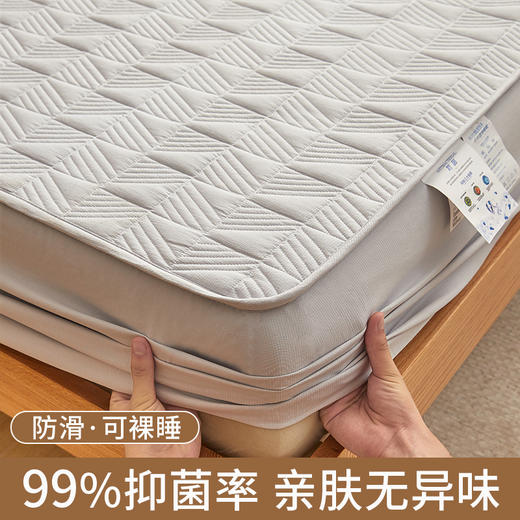 自然醒贴身氧乐棉防污抗菌抑菌床笠床垫保护套家用夹棉床笠防尘保护套罩1.5床笠防滑1.8床单件床垫套LN 商品图10