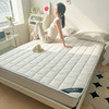自然醒四季款全棉舒适抗菌两用床褥双面纯棉德芙绒床垫防滑可洗家用软垫床褥被LN 商品缩略图6