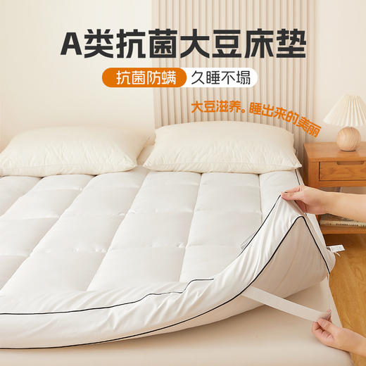 自然醒A类大豆抗菌防螨软床垫五星级酒店家用卧室垫被褥子铺底榻榻米租房专用LN 商品图0