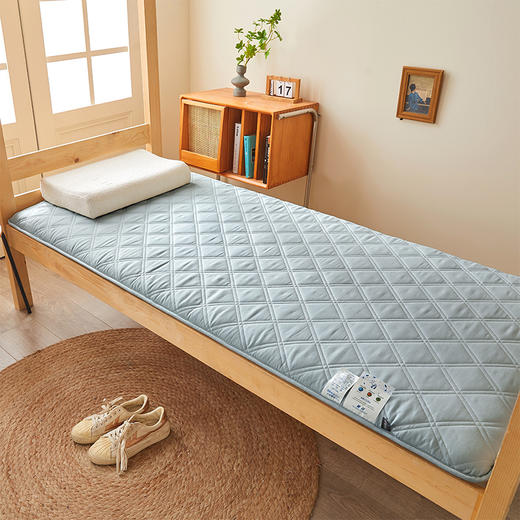 自然醒氧乐棉抗菌三明治加厚学生床垫垫褥软垫家用褥子垫背宿舍榻榻米垫子褥子LN 商品图10