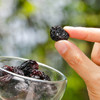 北纬纯净食品|38°新疆黑玫瑰葡萄干黑加仑大圆粒原味小袋装零食250g 商品缩略图3