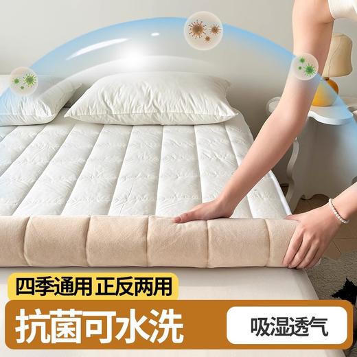自然醒四季款全棉舒适抗菌两用床褥双面纯棉德芙绒床垫防滑可洗家用软垫床褥被LN 商品图3