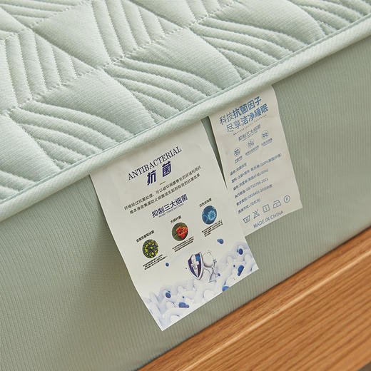 自然醒贴身氧乐棉防污抗菌抑菌床笠床垫保护套家用夹棉床笠防尘保护套罩1.5床笠防滑1.8床单件床垫套LN 商品图4