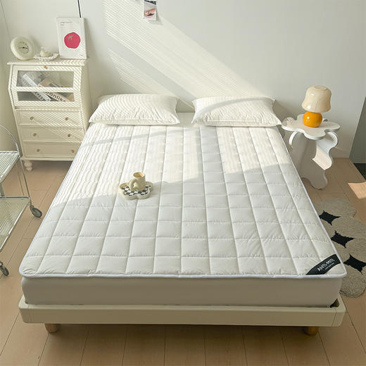 自然醒四季款全棉舒适抗菌两用床褥双面纯棉德芙绒床垫防滑可洗家用软垫床褥被LN 商品图8