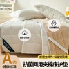 自然醒四季款全棉舒适抗菌两用床褥双面纯棉德芙绒床垫防滑可洗家用软垫床褥被LN 商品缩略图2