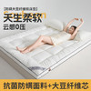 自然醒A类大豆抗菌防螨软床垫五星级酒店家用卧室垫被褥子铺底榻榻米租房专用LN 商品缩略图7
