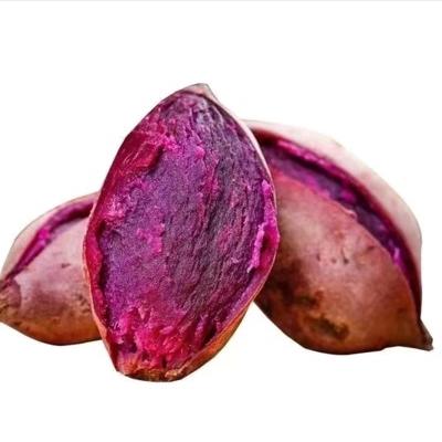新鲜紫薯软糯香甜无筋丝 5斤（含包装）/箱（精选） 商品图0