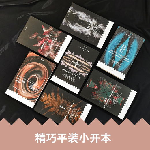 《爱伦·坡小说全集》（全7册）| 译林出版社权威出版，一次收齐推理小说之父、侦探小说鼻祖5大类型小说 商品图3