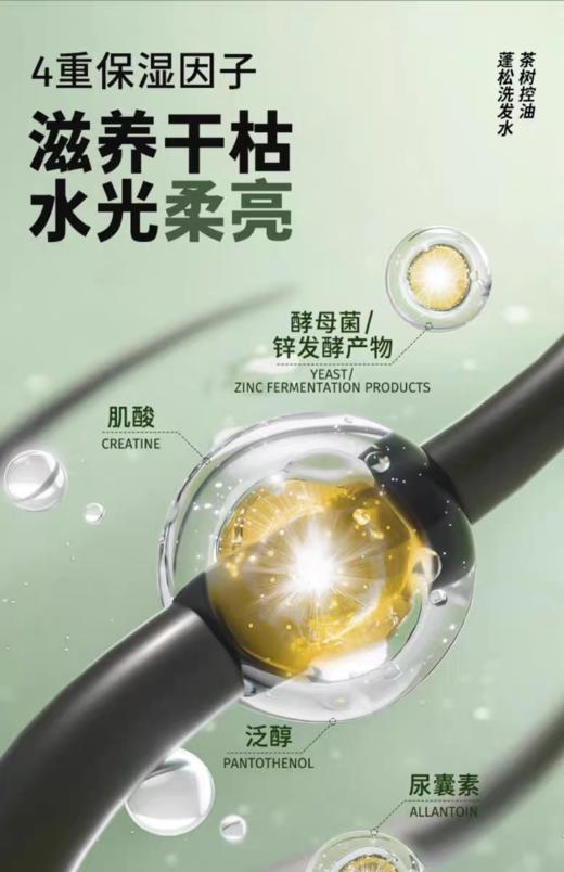 Befe茶树控油蓬松洗发水450mL【宝库优选】 商品图4