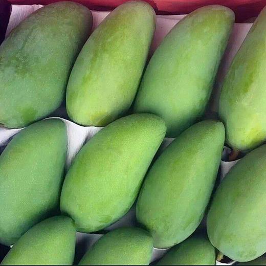 【生鲜预定】大青芒 1kg 商品图1