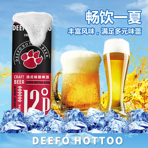 迪虎精酿啤酒500ml*12瓶（十件起送，楼梯房无法配送上楼） 商品图1