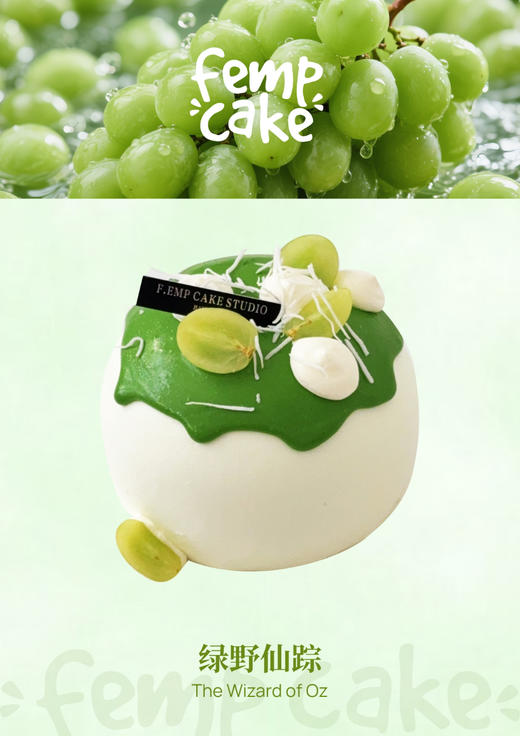 【提前两天预定】绿野仙踪 商品图0