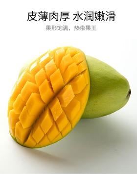 【生鲜预定】大青芒 1kg