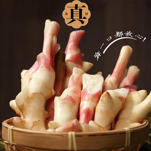 疯抢中！！【地理标志产品 洪江市托口镇生姜】酸辣 糖醋 生抽三种口味 脆嫩爽口零食 健康之选 500g*2坛/送手提礼盒装 商品图3