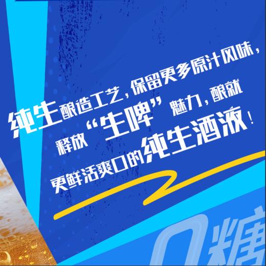 [啤酒]0糖哈尔滨冰极纯生啤酒500ML*12瓶 商品图2