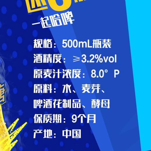 [啤酒]0糖哈尔滨冰极纯生啤酒500ML*12瓶 商品图3