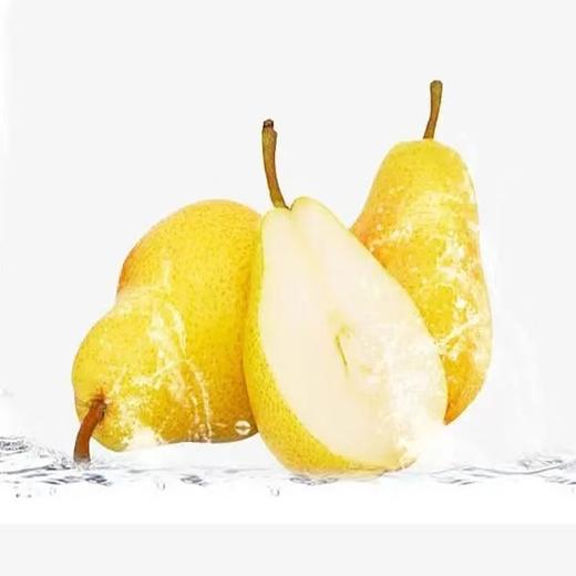 【生鲜预定】雪梨 商品图0