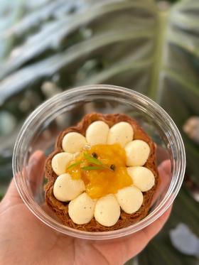 百香果苹果大蛋挞（下午1点左右出货）