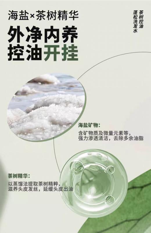 Befe茶树控油蓬松洗发水450mL【宝库优选】 商品图6