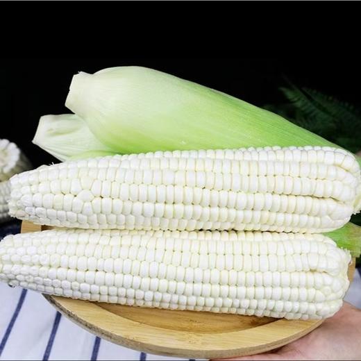 白糯玉米新鲜采摘 5斤（含包装）/箱（精选） 商品图0