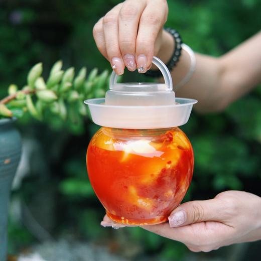 疯抢中！！【地理标志产品 洪江市托口镇生姜】酸辣 糖醋 生抽三种口味 脆嫩爽口零食 健康之选 500g*2坛/送手提礼盒装 商品图8