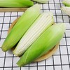 白糯玉米新鲜采摘 5斤（含包装）/箱（精选） 商品缩略图2