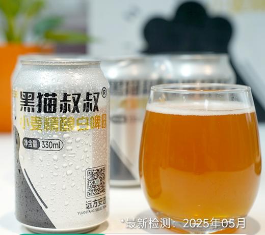 黑猫叔叔精酿白啤酒（1罐装） 商品图1