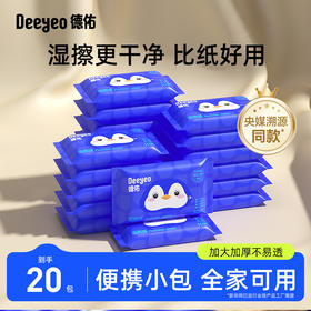DY德佑湿厕纸便携装小包10抽*20包