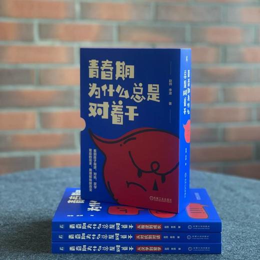 官网 青春期为什么总是对着干 从叛逆到成长+从对抗到对话+从厌学到爱学 3册 赵帅 李波 青春期 亲子沟通 亲子关系 家教育儿书籍 商品图3