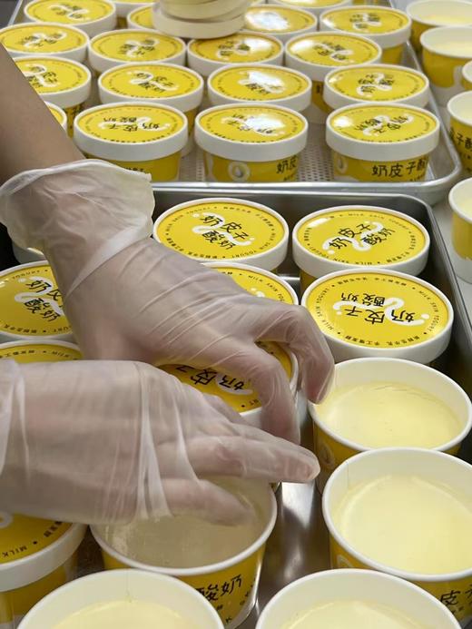 奶皮子酸奶 商品图1