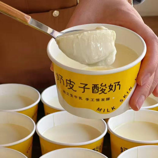奶皮子酸奶 商品图0