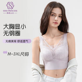 蝴蝶蕾丝美背文胸