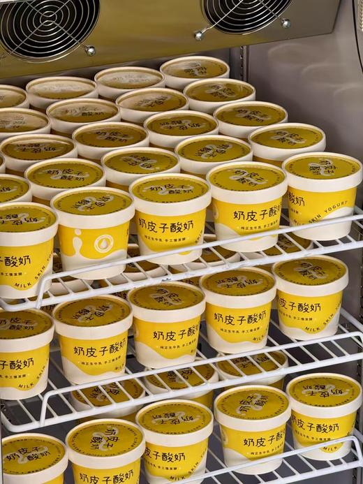 奶皮子酸奶 商品图3
