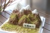 半糖｜“父爱如山”微景观蛋糕 商品缩略图1