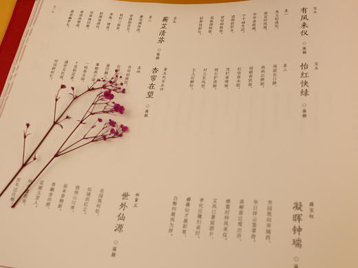 【礼盒珍藏刷边版】zui美红楼梦  豪赠：32件惊喜周边赠品 商品图8