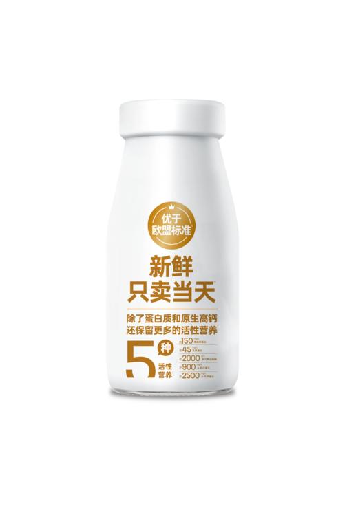 雪兰•黄金24小时鲜牛乳玻璃瓶【GY】 商品图4