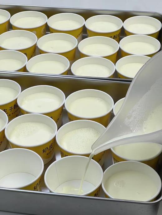 奶皮子酸奶 商品图2