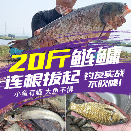 伽玛精工鱼竿手竿超轻超硬全能综合鲫鲤钓鱼竿轻量野钓大物台钓竿 商品图4