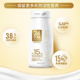 雪兰•黄金24小时鲜牛乳玻璃瓶【GY】