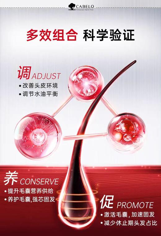 H卡蓓诺育发洗护套装（加强型）【宝库优选】 商品图4