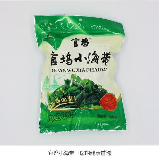 官坞小海带【GA】 商品图0