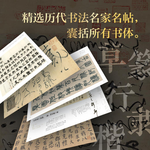 看书法：一定要知道的100幅中国传世书法 商品图4