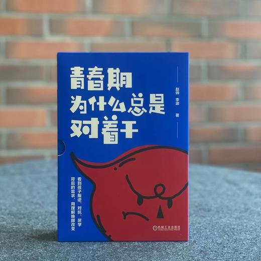 官网 青春期为什么总是对着干 从叛逆到成长+从对抗到对话+从厌学到爱学 3册 赵帅 李波 青春期 亲子沟通 亲子关系 家教育儿书籍 商品图2