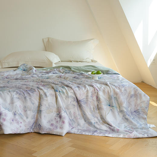 【热卖推荐】自然醒60支奥地利进口兰精天丝数码印花夏被HS 商品图3