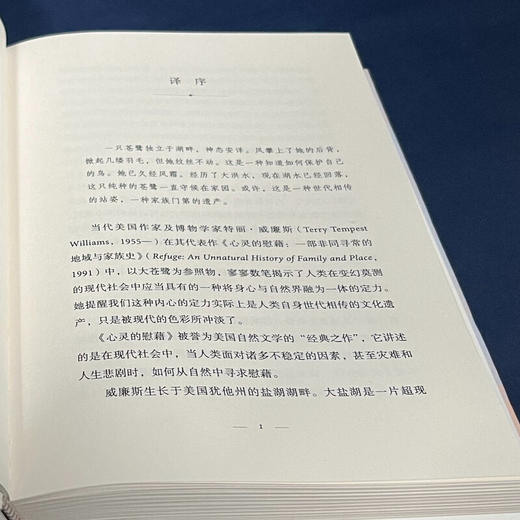 心灵的慰藉：一部非同寻常的地域与家族史（二版）  特丽·威廉斯 著 美国自然文学经典译丛  三联书店旗舰店 商品图2