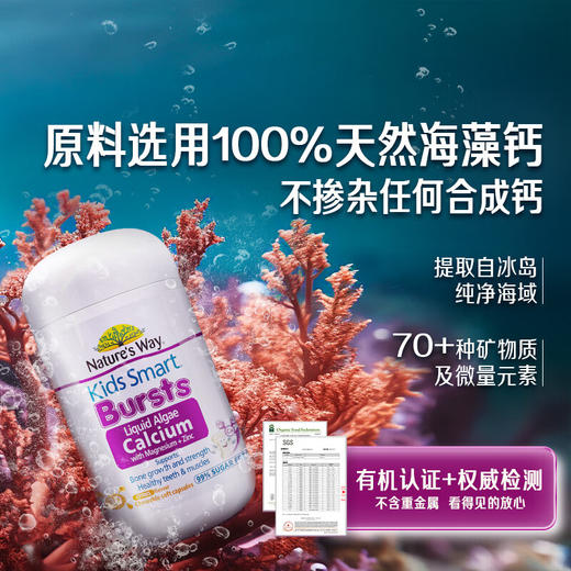 佳思敏（Nature's Way）儿童液体海藻钙 30粒 商品图0