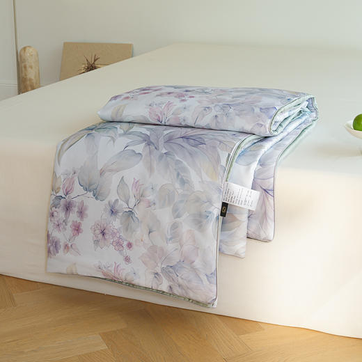 【热卖推荐】自然醒60支奥地利进口兰精天丝数码印花夏被HS 商品图10