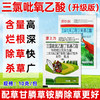 三氯吡氧乙酸杀藤类藤蔓灌木葛根络石藤专用农药除草剂老牌子正品 商品缩略图3